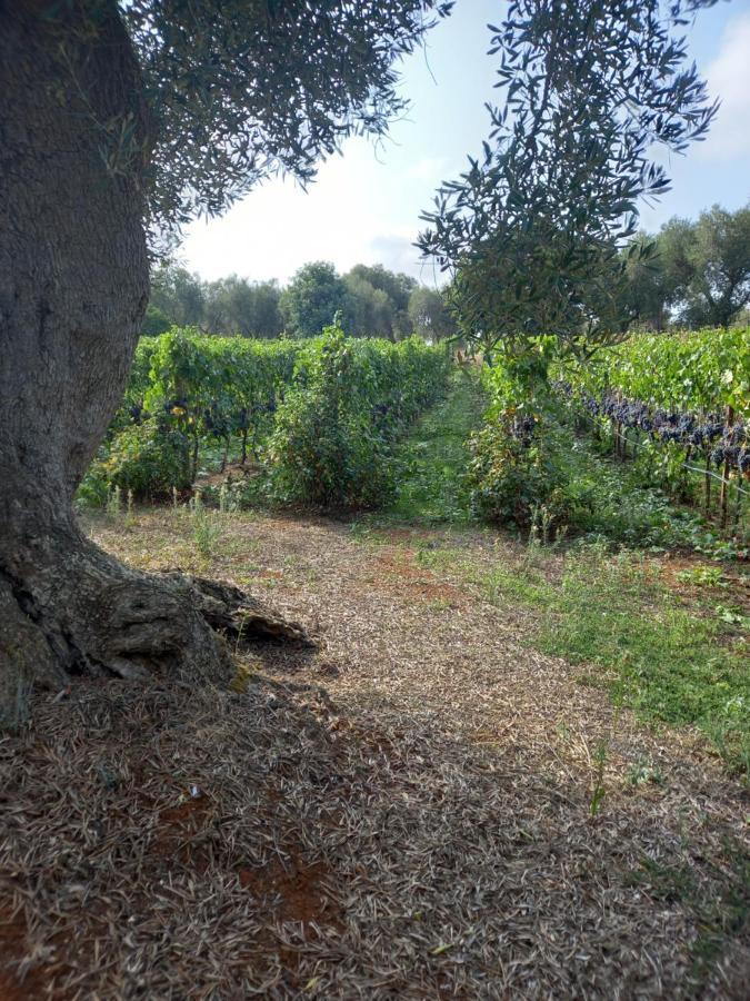 Villa Agreste Ostuni Eksteriør billede